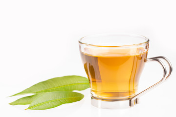 Tea with lemon verbena - Aloysia citrodora. White background