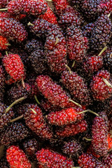 Organic mulberry fruit, Black ripe and Red unripe mulberries