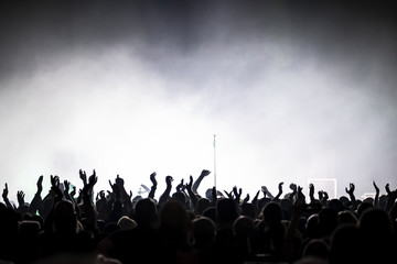 Naklejka premium audience at rock concert
