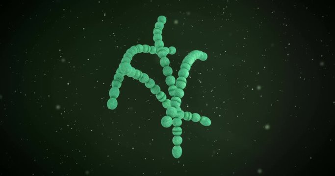 3D animation of a streptococcus pyogenes bacteria