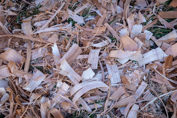 wood shavings 