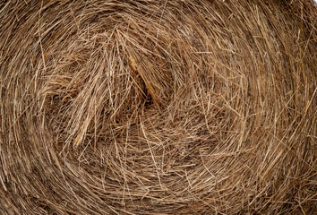Hay Bale