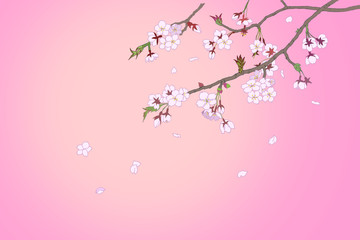 Obraz na płótnie Canvas 春風に舞う桜