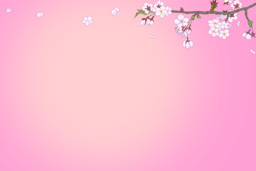Fototapeta na wymiar 桜の花の背景