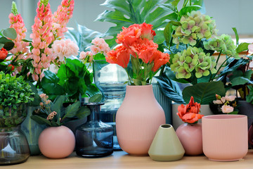 Assortment of flower in pot