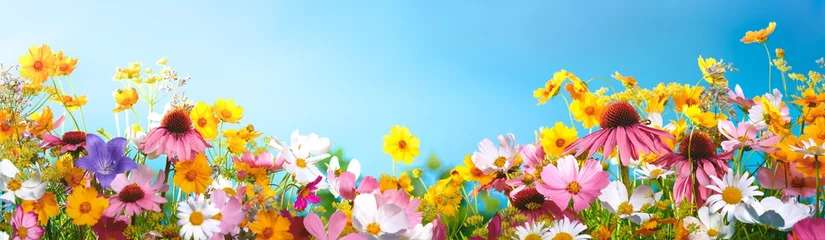 Deurstickers Lente bloemen © Li Ding
