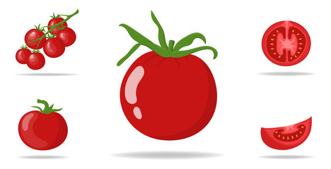 Set of Fresh Red Tomatoes isolated on white background. Branch, Whole, Half and Slice Tomato Icons for Market, Recipe Design. Organic Food. Cartoon Style. Vector illustration for Design, Web.