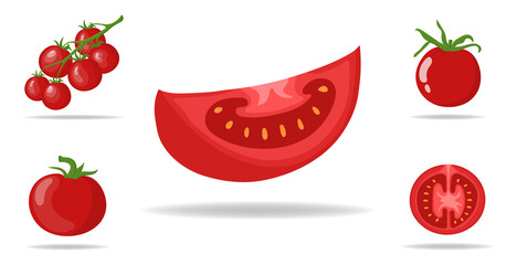Set of Fresh Red Tomatoes isolated on white background. Branch, Whole, Half and Slice Tomato Icons for Market, Recipe Design. Organic Food. Cartoon Style. Vector illustration for Design, Web.