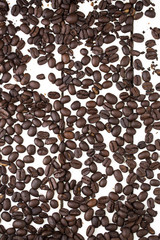Coffee beans on white tray