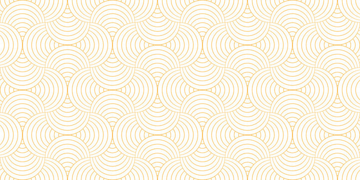 Pattern geometric line circle abstract seamless orange line on white background. Summer vector design.