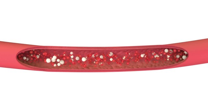 3D animation of a bloodstream with red cell white cell and platelet