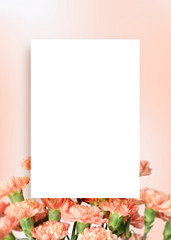 어버이날 배경, 카네이션 프레임