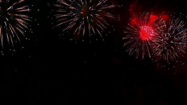 Beautiful celebration abstract colorful firework display at night background