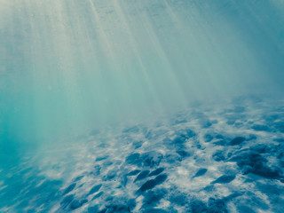 tropical blue ocean underwater background - luxury nature pattern