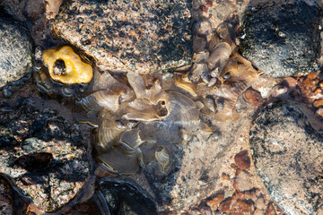 Stone texture background