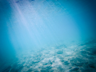 tropical blue ocean underwater background - luxury nature pattern