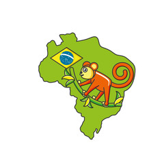 monkey animal with map of brazil