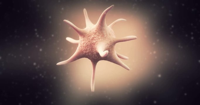 3D animation of blood platelet