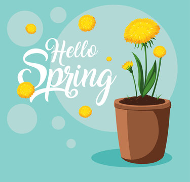 hello spring card with beautiful flowers in pot