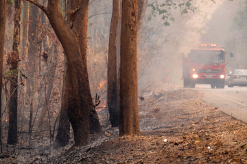 Fototapeta na wymiar 2019-04-02 Wildfire in the Forrest Near the Local Road, Nature Disaster in the Summer, Chiangmai Thailand.