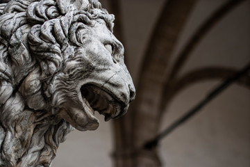 Fototapeta na wymiar Stone lion sculpture head close up in Firenze, Italy