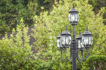 Vintage style street lamps in the park with green trees in the background.