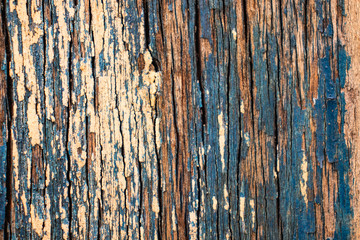 Obraz premium textura de madeira com rachaduras