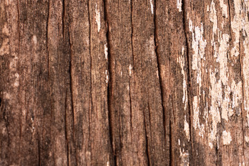 textura de madeira com rachaduras