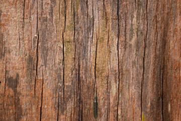textura madeira parede de madeira tábuas