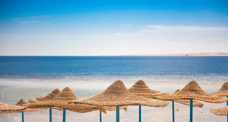 Umbrellas at the seashore