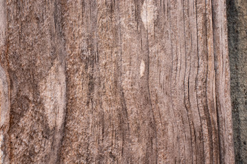 textura madeira parede de madeira t&aacute;buas