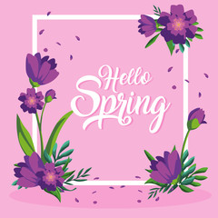 hello spring card with beautiful flowers in frame