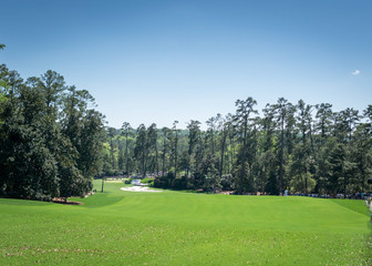 Fototapeta premium Golf Course