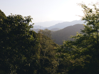 Obraz premium View on mountain landscape from forest