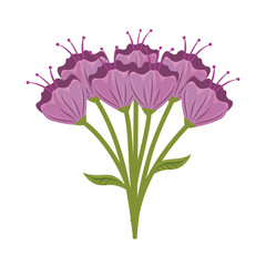 beutiful flowers bouquet icon