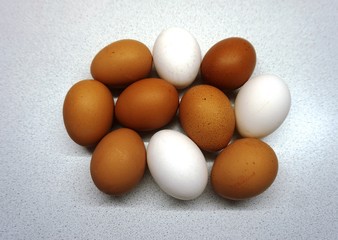 chicken eggs 10 pieces in white and brown shells