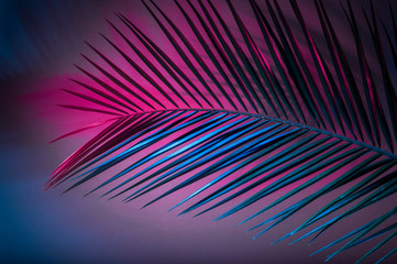 Tropical leaves in vibrant bold gradient holographic neon colors