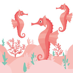pattern seahorse and seaweed isolated icon