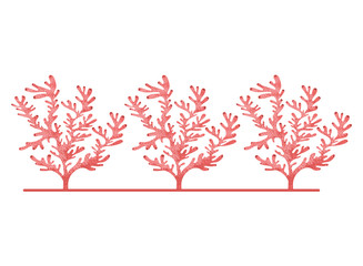 Fototapeta premium seaweed pattern isolated icon