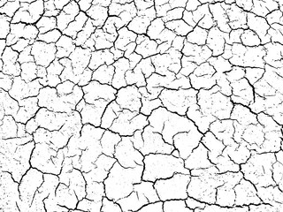 The cracks texture white and black. Vector background.Cracked earth. Structure of cracking. Cracks in dry surface soil texture. shards