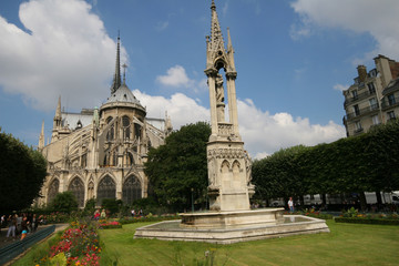 Katadra Notre Dame w Paryżu