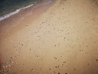 Einsiedlerkrebese auf Naturstrand in Wüste