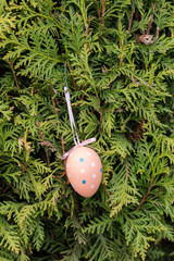 Easter eggs hanging from tree in detail.