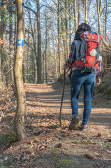 Pilgrim on the trail of St. James, Pilgrim, Wanderer with a backpack and a shell