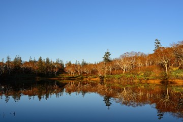 北海道ニセコの神仙沼