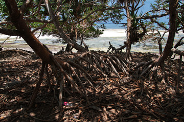 Nungwi Beach, Zanzibar, Tanzania, Indian ocean