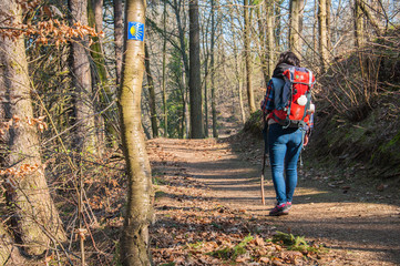Pilgrim on the trail of St. James, Pilgrim, Wanderer with a backpack and a shell