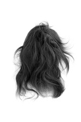 Very disheveled black hair isolated on white background. Bad hair day clipart. Back view