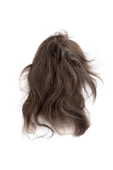 Very disheveled brown hair isolated on white background. Bad hair day clipart. Back view