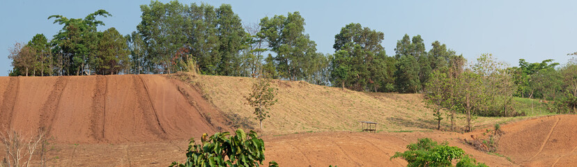 Fototapeta na wymiar Panoramic View of Rural Agriculture in Thailand